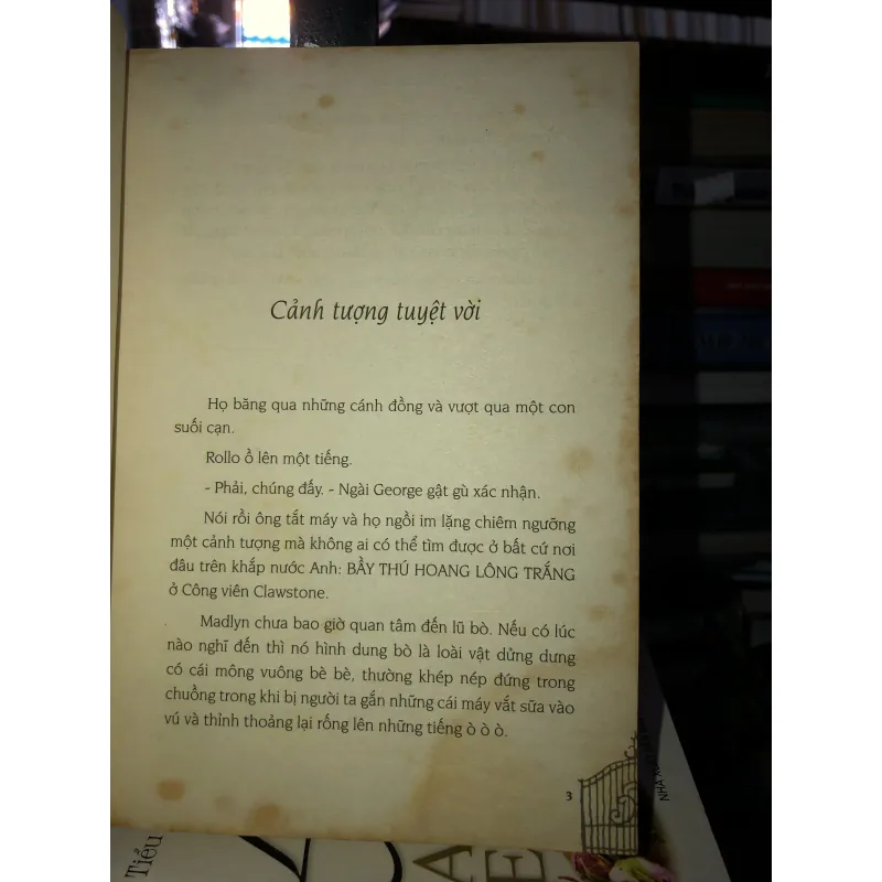 Bầy thú hoang lông trắng - Eva Ibbotson  994692