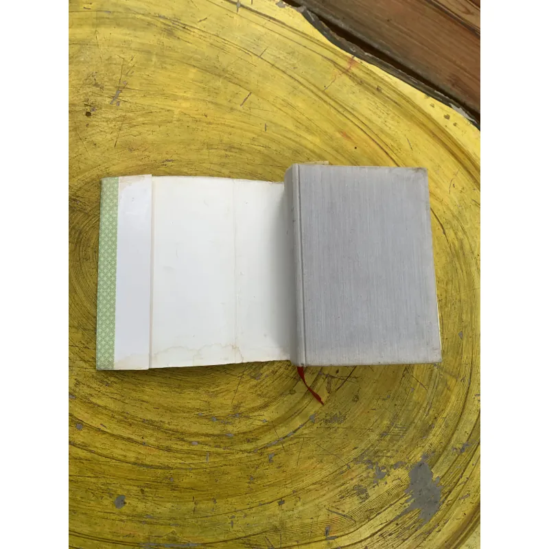 TỪ ĐIỂN TIẾNG VIỆT - VIỆN NGÔN NGỮ HỌC 799943