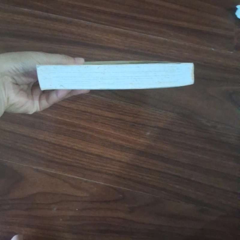 10 đại mỹ nhân trung quốc 508002