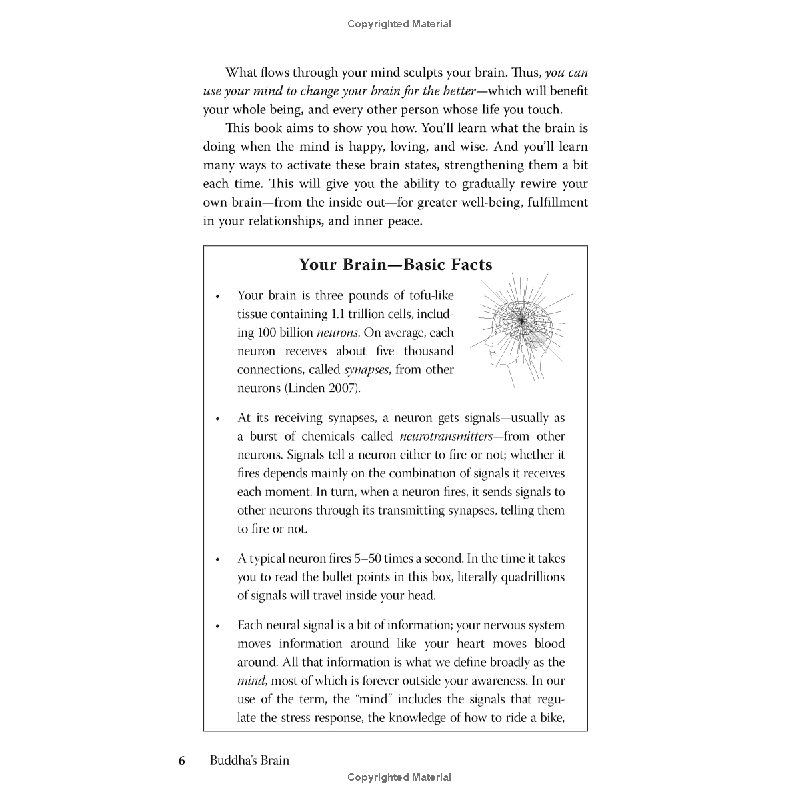 BUDDHA'S BRAIN: THE PRACTICAL NEUROSCIENCE OF HAPPINESS, LOVE, AND WISDOM - RICH HANSON, Ph.D WITH RICHARD MENDIUS, M.D 120849