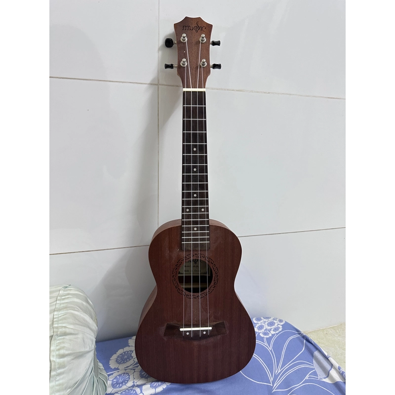 Đàn Ukulele Gỗ chính hãng size concert basic 494139