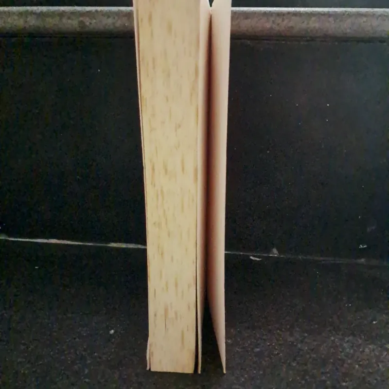 Dictionary of English down the ages 1011430