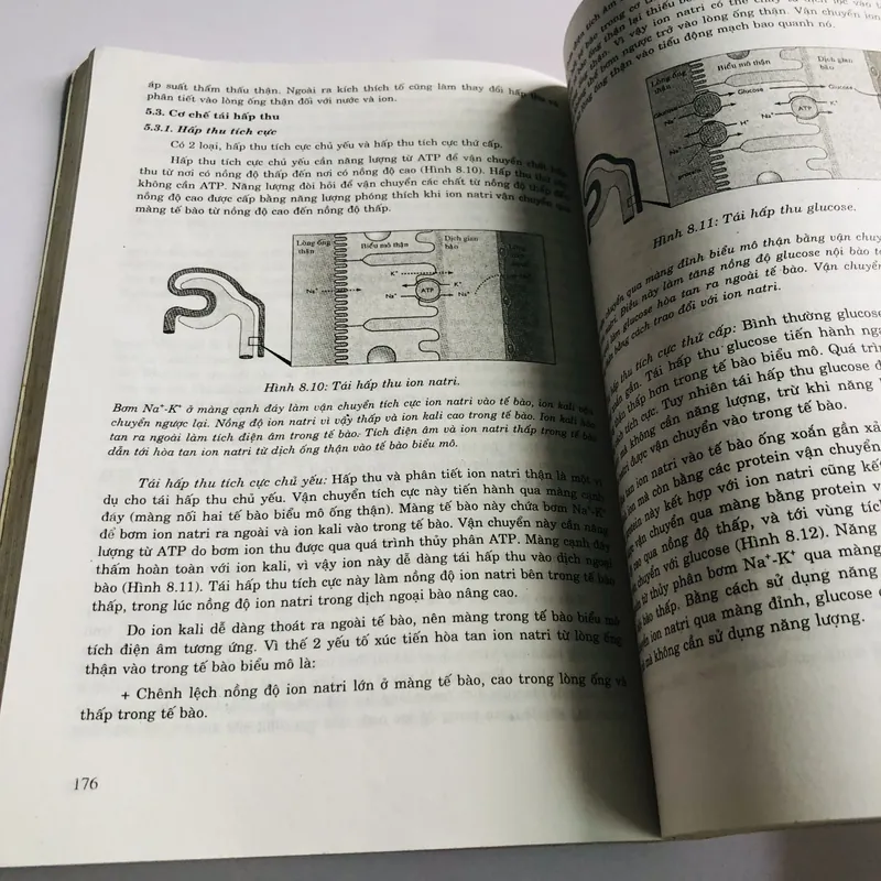 SINH LÝ VẬT NUÔI 600126
