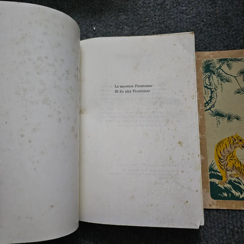 Bí ẩn nhà Frontenac - Francois Mauriac - Nobel văn chương 1952 733927