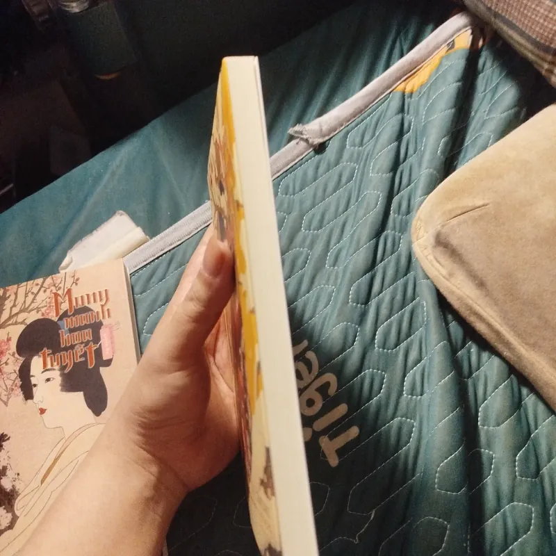 Combo Mong manh hoa tuyết - Tanizaki Junichiro 957975