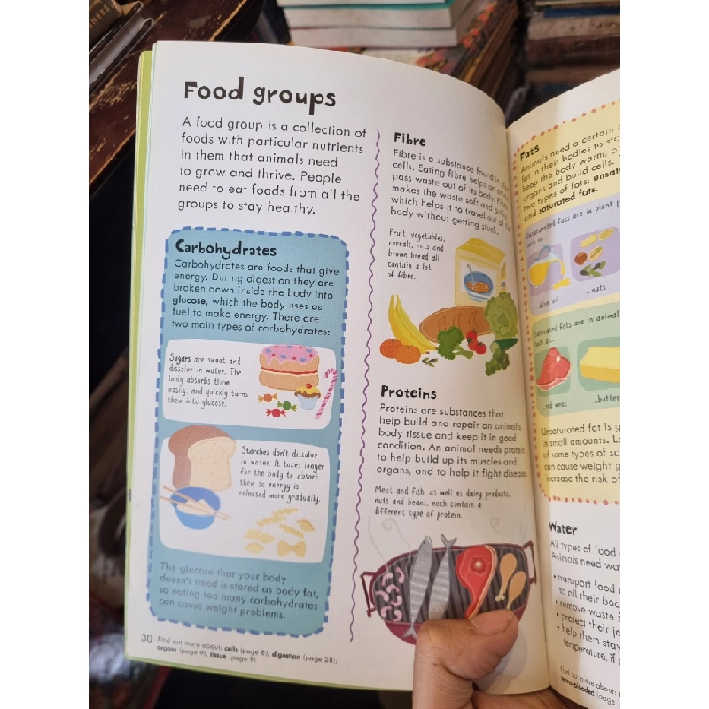 Usborne Junior Illustrated Science Dictionary 385268