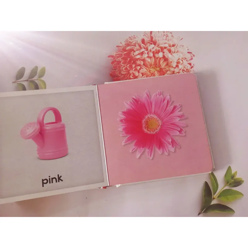 Baby's First Colours 961424