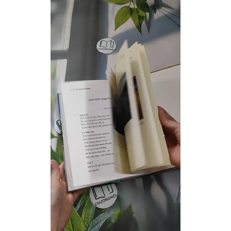 [MIỄN PHÍ BỌC SÁCH] Về với yêu thương - Trương Hòa Bình 990215