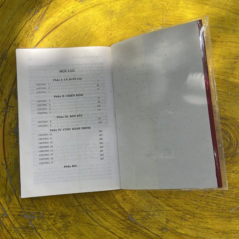 NGƯỜI TÙ BINH AFGHANISTAN - FREDERICK FORSYTH 996980