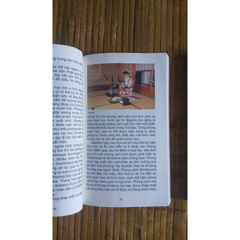 Sách Nhật Bản 1045221