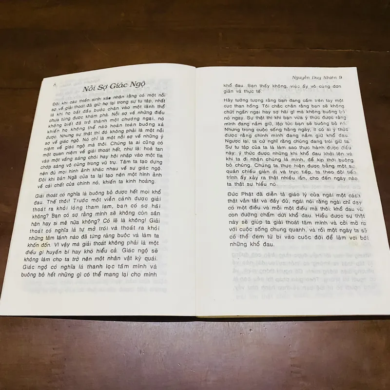 Kinh nghiệm thiền quán phương pháp thiền tập Vipassana 719108