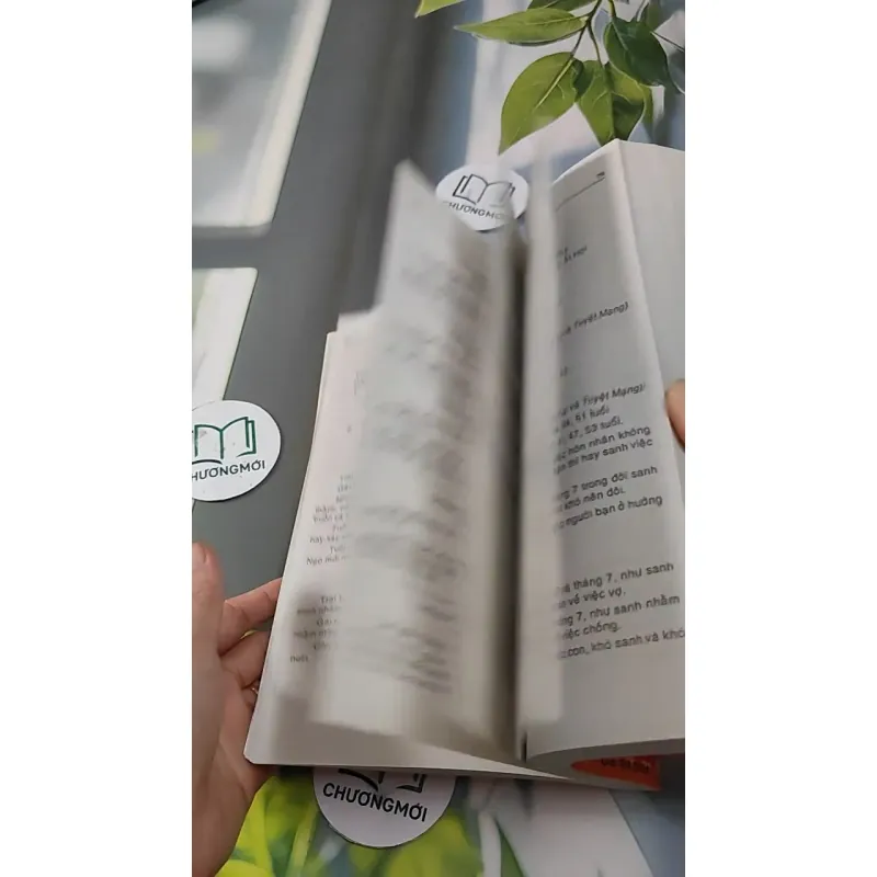 Căn Duyên Tiền Định 727287