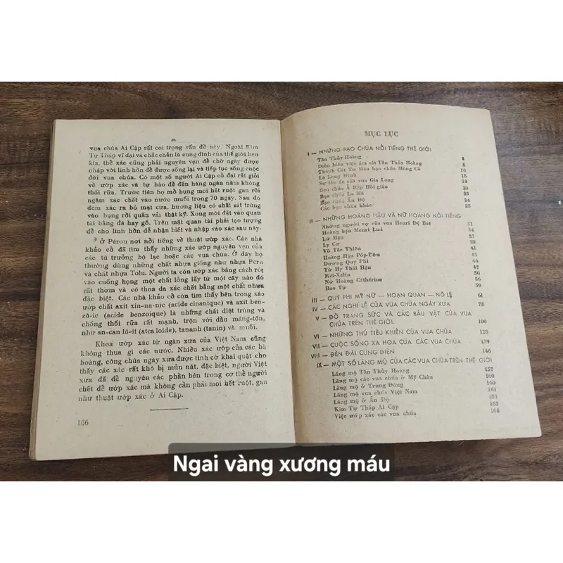 [Tủ sách Sông Hương 1988]

NGAI VÀNG XƯƠNG MÁU 713113