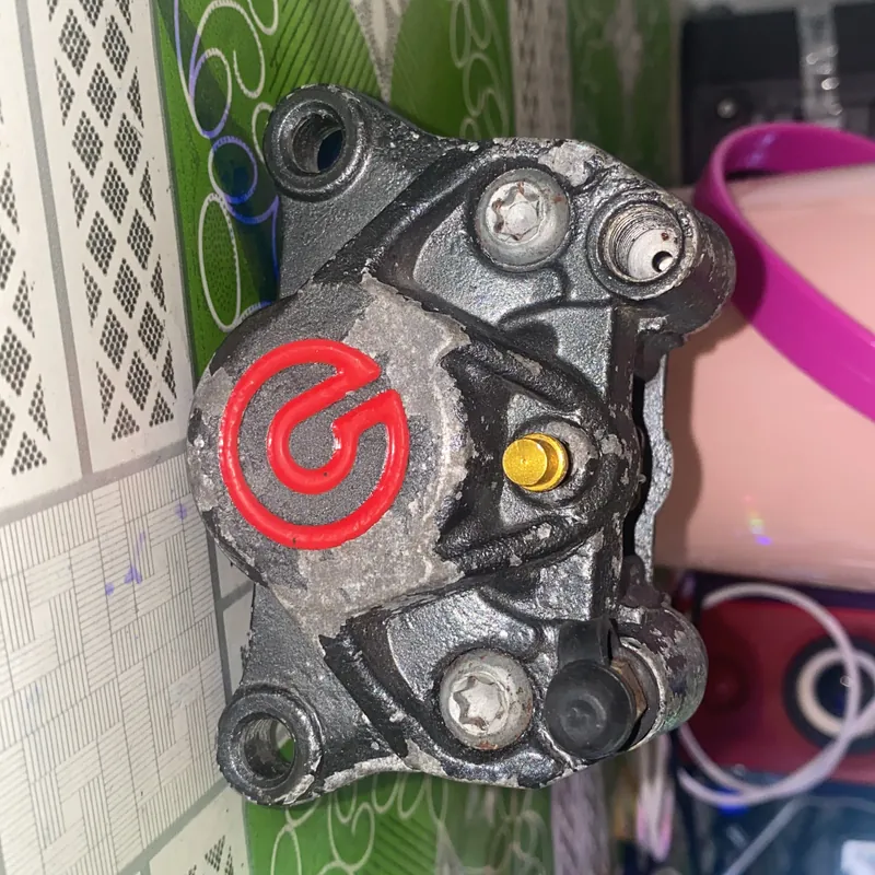 heo brem 2 pis fake 702592