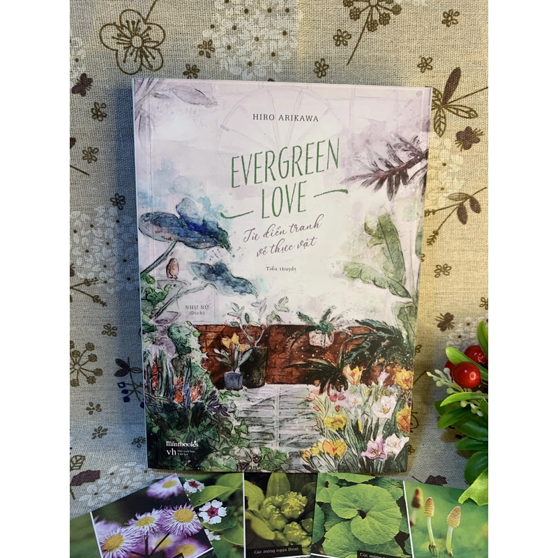 Sách – Evergreen Love -Từ Điển Tranh Về Thực Vật, 99%, có Postcard sách, tặng kèm quà Mori 302124