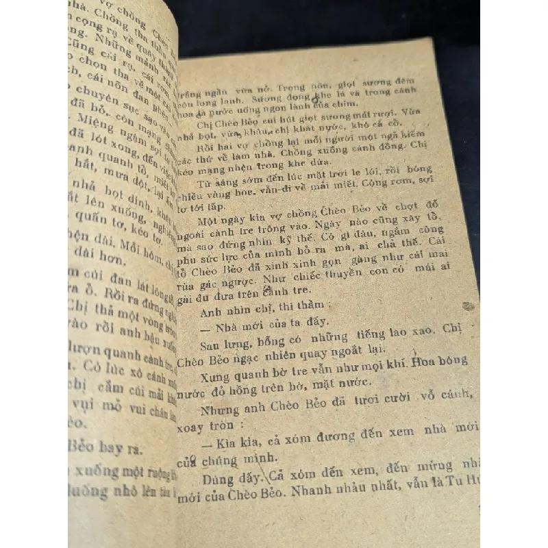 Chèo bẻo đánh quạ - Tô Hoài 605487