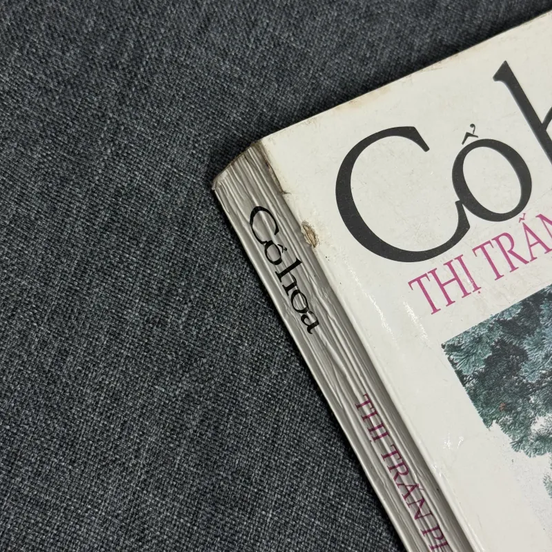 Thị trấn phù dung - Cổ Hoa 931264