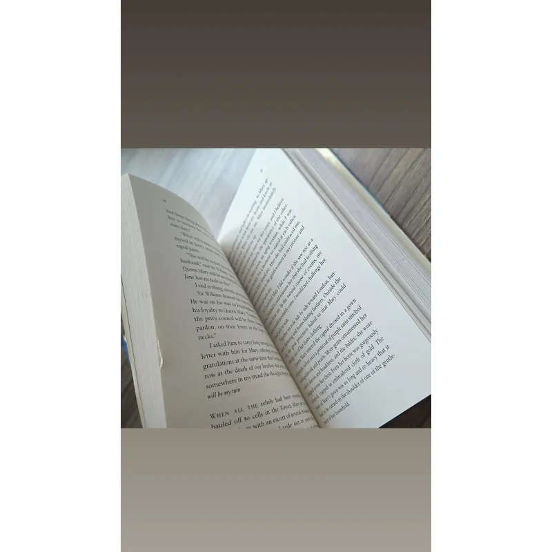 Beware, Princess Elizabeth (Carolyn Meyer) 792980