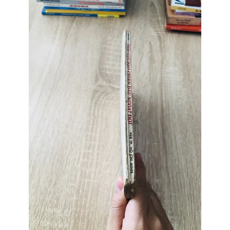 THÁI CỰC ĐẠO CHIẾN ĐẤU 1010987