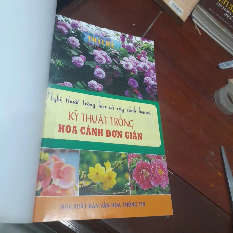 Kỹ thuật TRỒNG HOA CẢNH đơn giản 300447