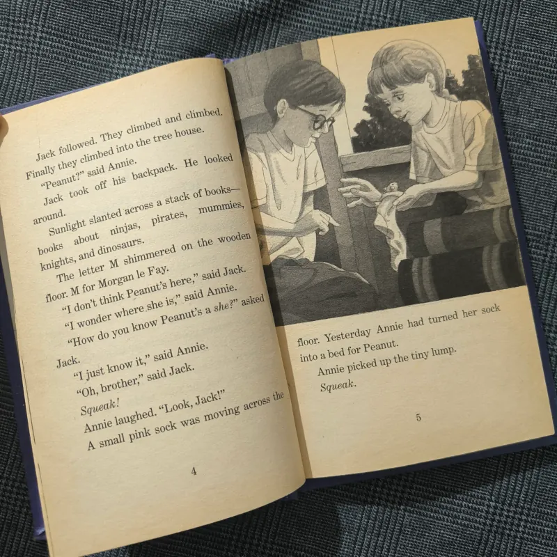 (Hard cover) Magic Tree House 6: Afternoon on the Amazin - Mary Pope Osborne 754571