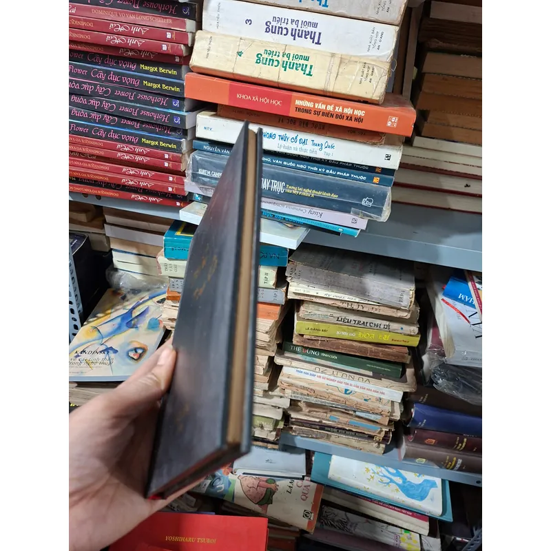 Diễm Tình Ca 712556