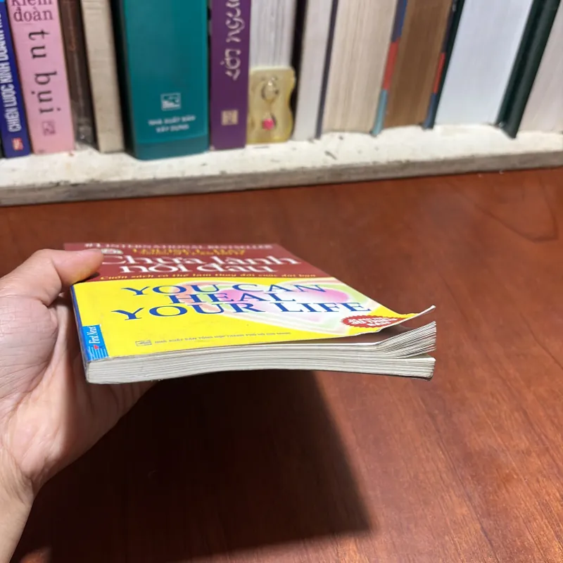 II Sách Về Cuộc Sống: Chữa Lành Nỗi Đau - LOUISE L. HAY - 2015 958683