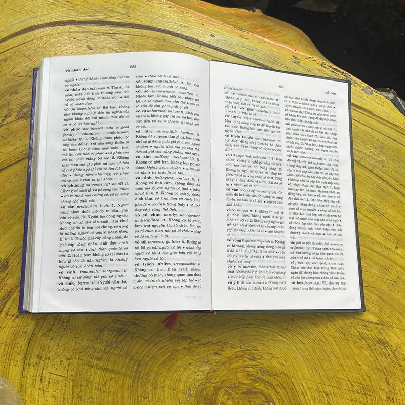 TỪ ĐIỂN TIẾNG VIỆT THÔNG DỤNG- NGUYỄN NHƯ Ý CHỦ BIÊN 697865