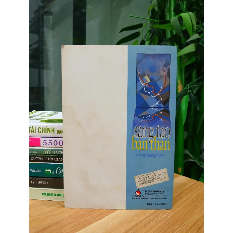 Sáng tạo bản thân – Lưu Dung 570852