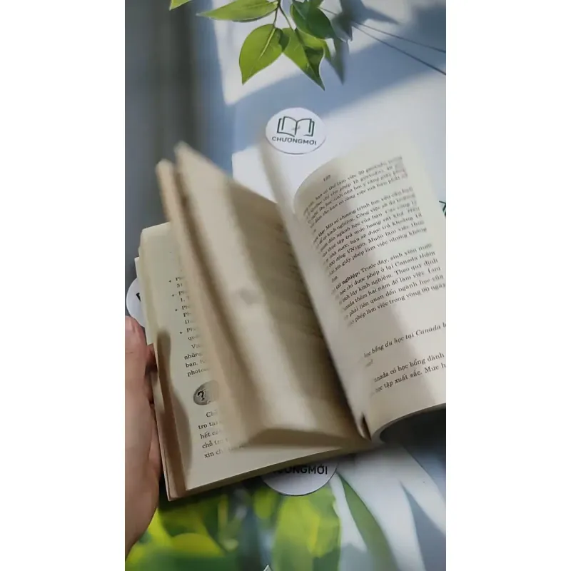 Bạn Muốn Đi Nước Ngoài? (Hỏi & Đáp Về Thủ Tục Cấp Visa Vào Các Nước 707254