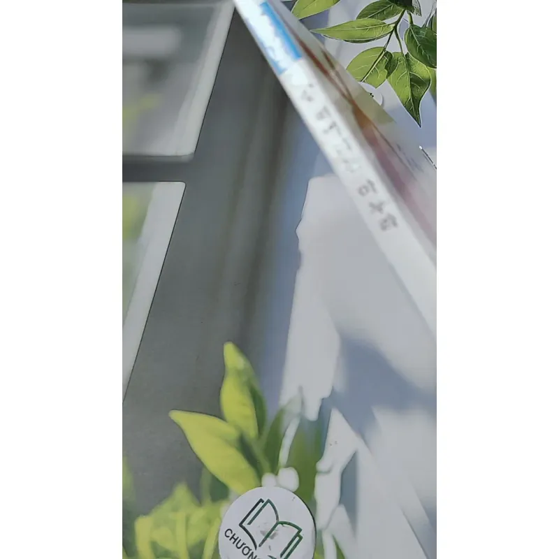 [Tặng nẹp góc] Truyện thiếu nhi Hàn Quốc: Moyamo Anu 52 -  모야모 아누와: 잘 떠벌리는 마누라 732055