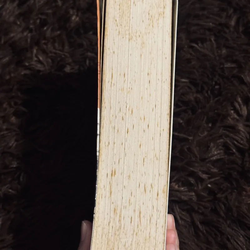 Gia đình Budden Brook 997967