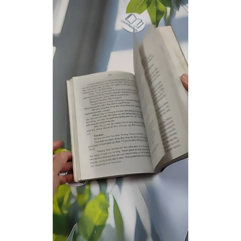 Tử Vi Tướng Pháp 776182