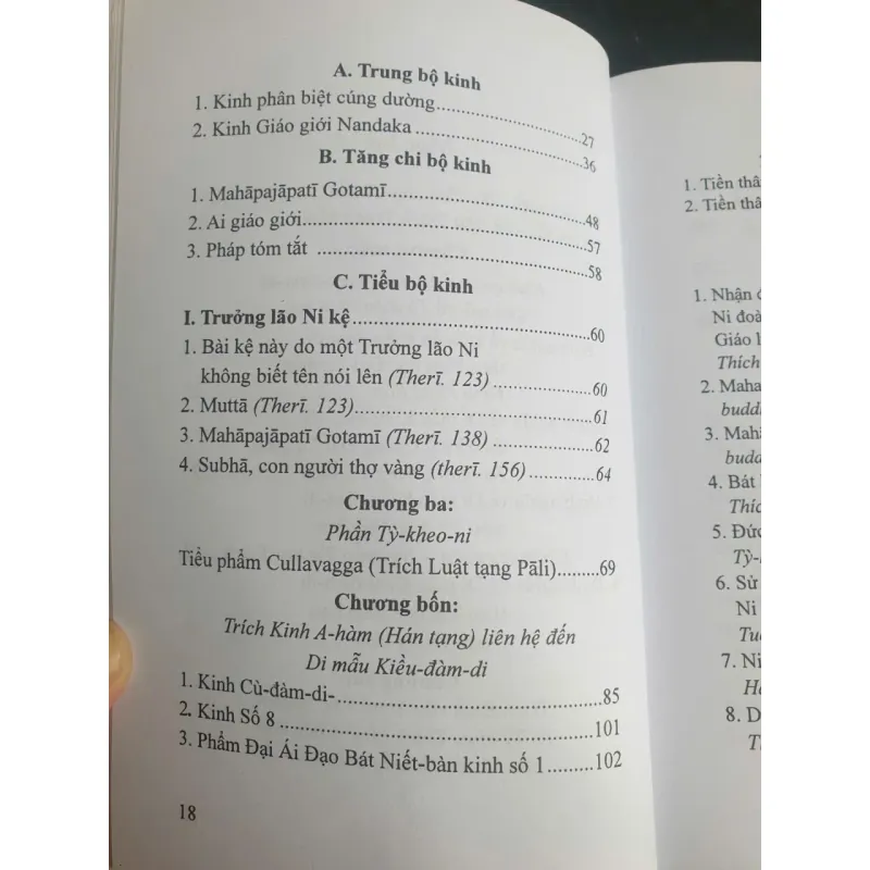 Thánh Nữ Tỳ Kheo ni MahaPajapatiGotami ( di mẫu Kiều Đàm Di) 680933