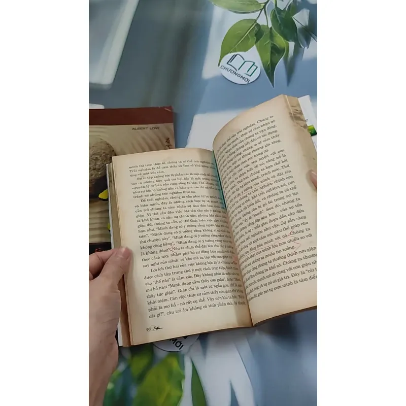 Combo: Sống Thiền, Mời Bạn Tập Thiền 776113