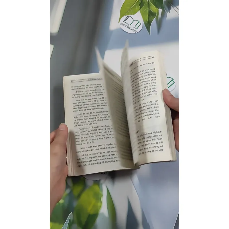 [XƯA] Các Tông Phái Đạo Phật (1995) - Đoàn Trung Còn 776150