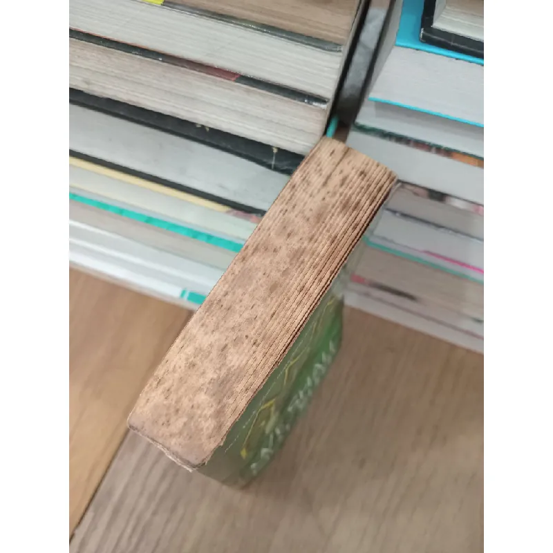 We shall not sleep - Anne Perry 707608