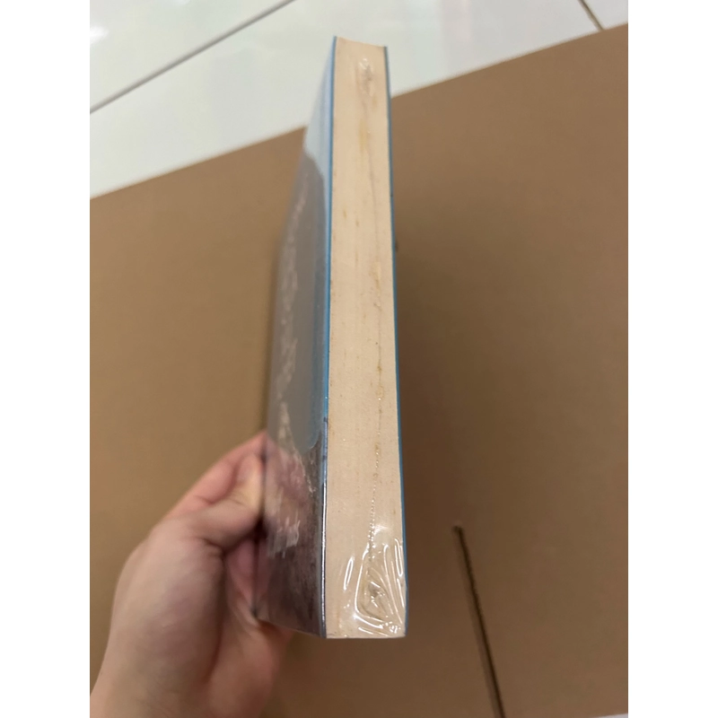Đường mây qua xứ tuyết 478204