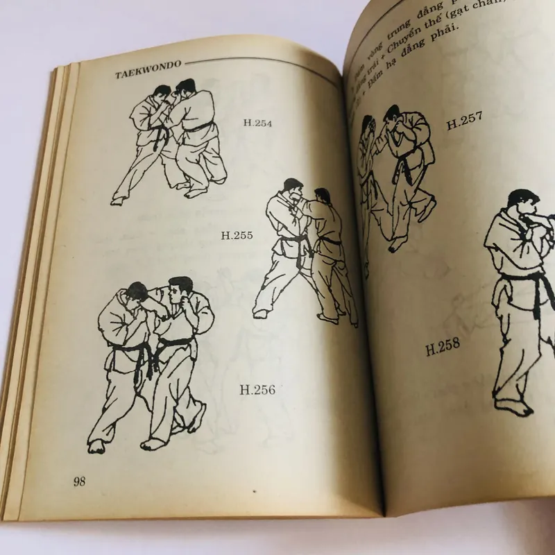 TỰ LUYỆN TUYỆT CHIÊU TEAKWONDO CHIẾN ĐẤU & TỰ VỆ 697860