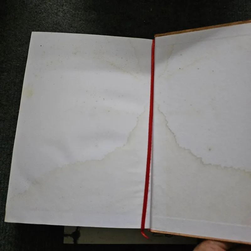 Vòng bảy người 736471