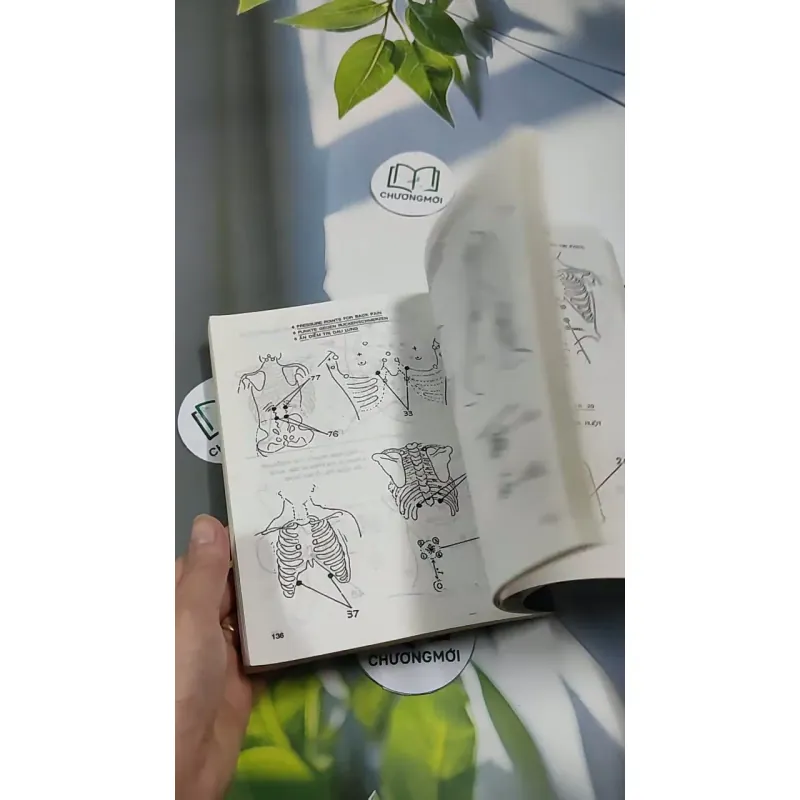 Bấm Huyệt 707258