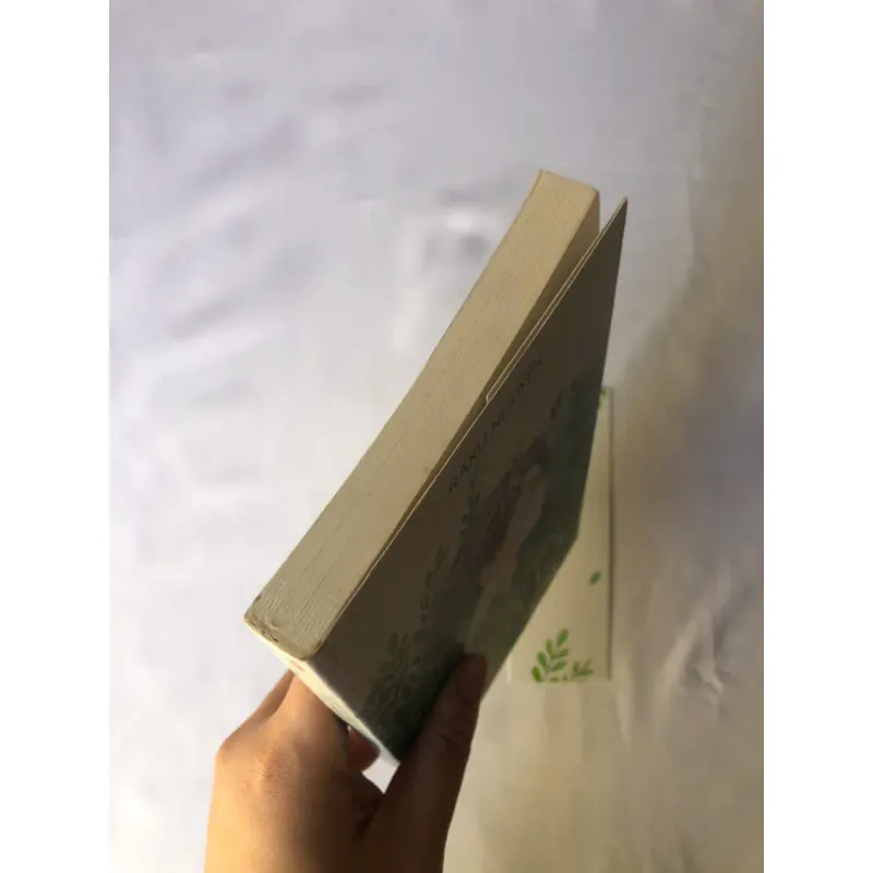 Nỗi Buồn Màu Xanh Lá - Raxu Nguyễn 799251