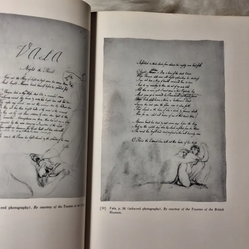 Blake’s Sublime Allegory: Essays on The Four Zoas, Milton, and Jerusalem 783247