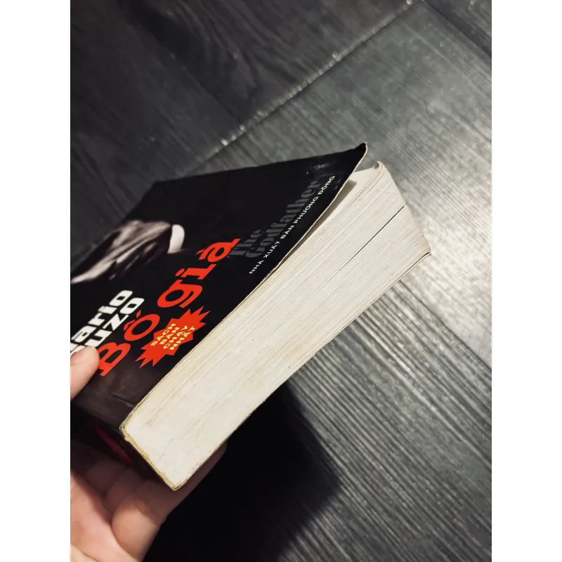 Bố già (Đặng Phi Bằng dịch)  798034