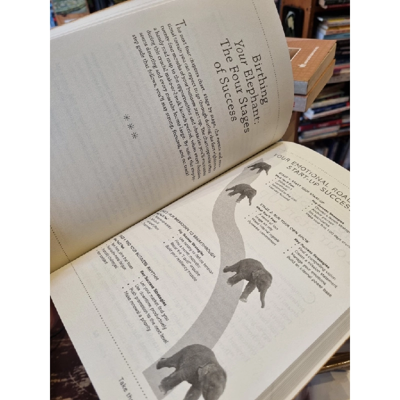 Birthing the Elephant: The Woman's Go-For-It! Guide to Overcoming the Big Challenges of Launching a Business - Karin Abarbanel & Bruce Freeman 378119