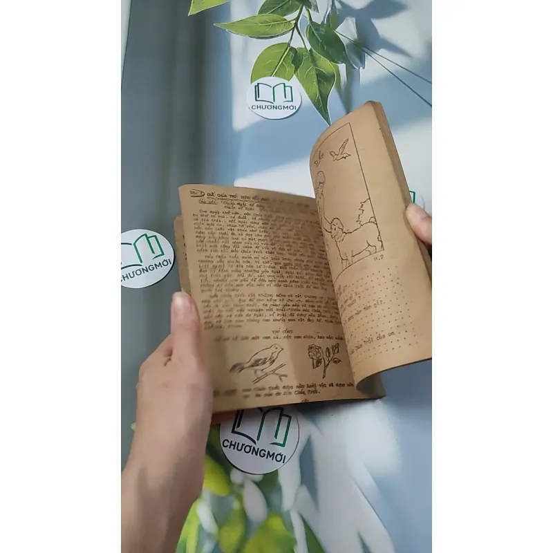 Những Truyện Tích Đầu Tiên Trong Kinh Thánh - Hội Thánh Tin Lành 775990