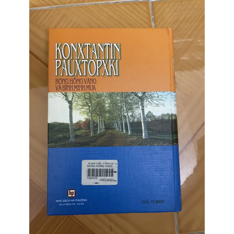 Bông hồng vàng và Bình minh mưa 1010894