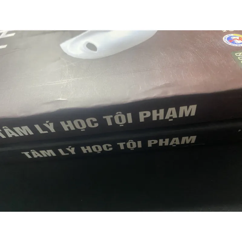Combo 2 tập: Tâm lý học tội phạm 783831