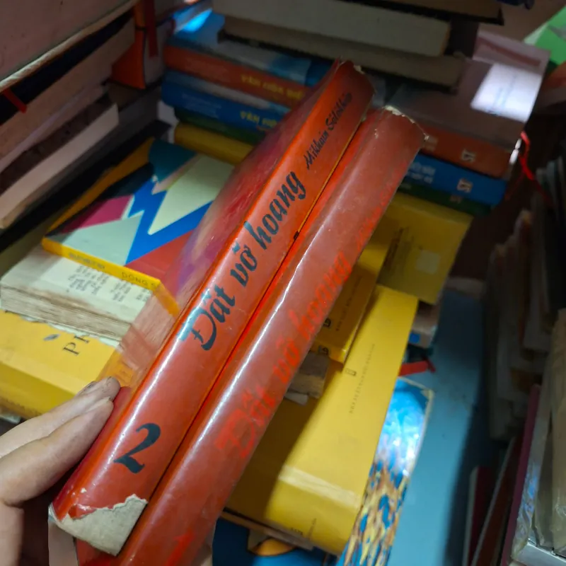 Đât vỡ hoang 1009341