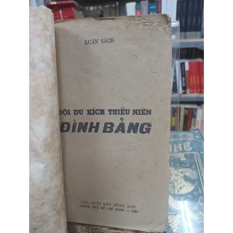 ĐỘI DU KÍCH THIẾU NIÊN - ĐÌNH BẢNG 1002116